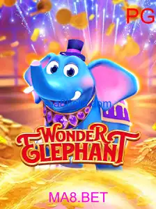 WonderElephant
